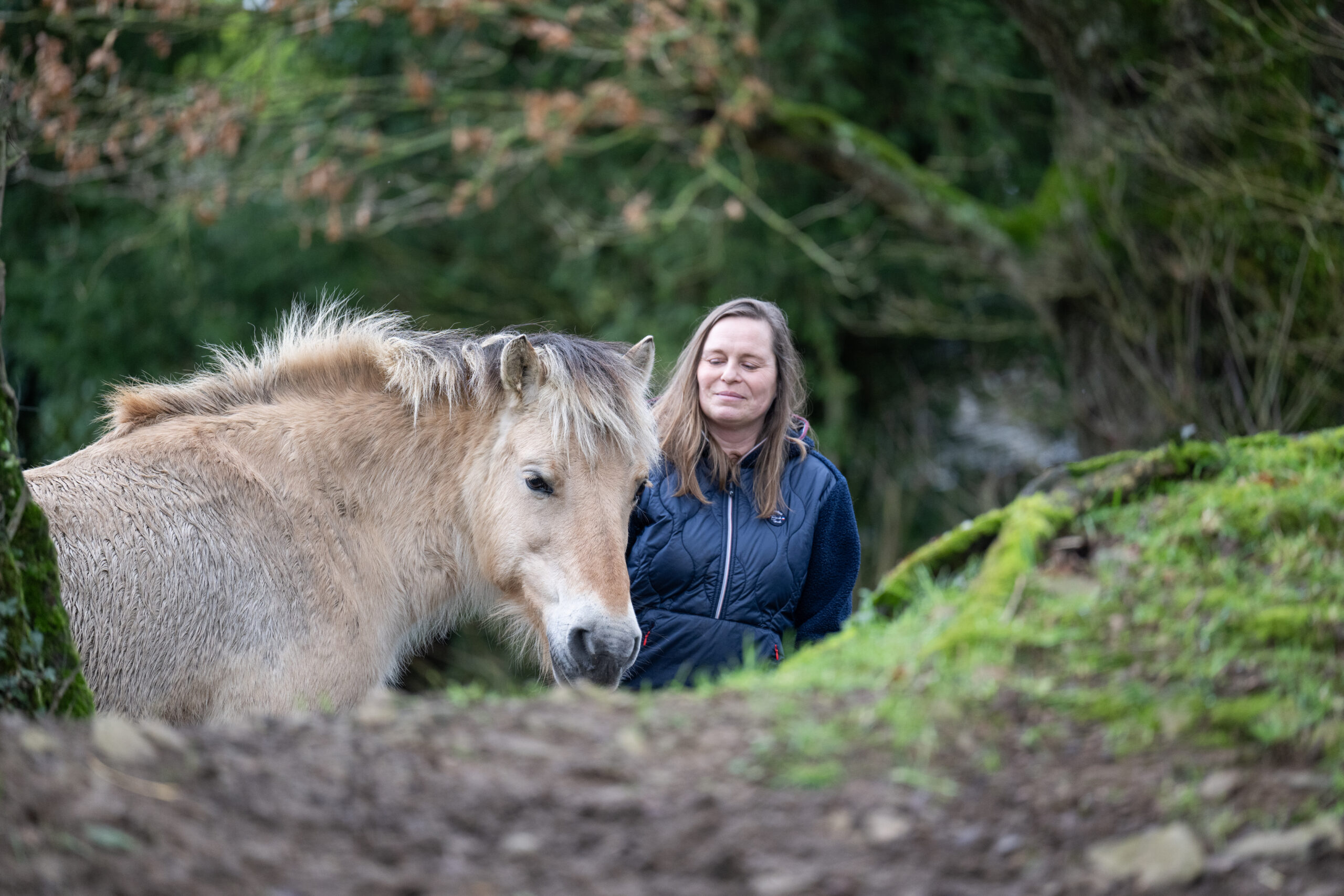 relation humain-animal